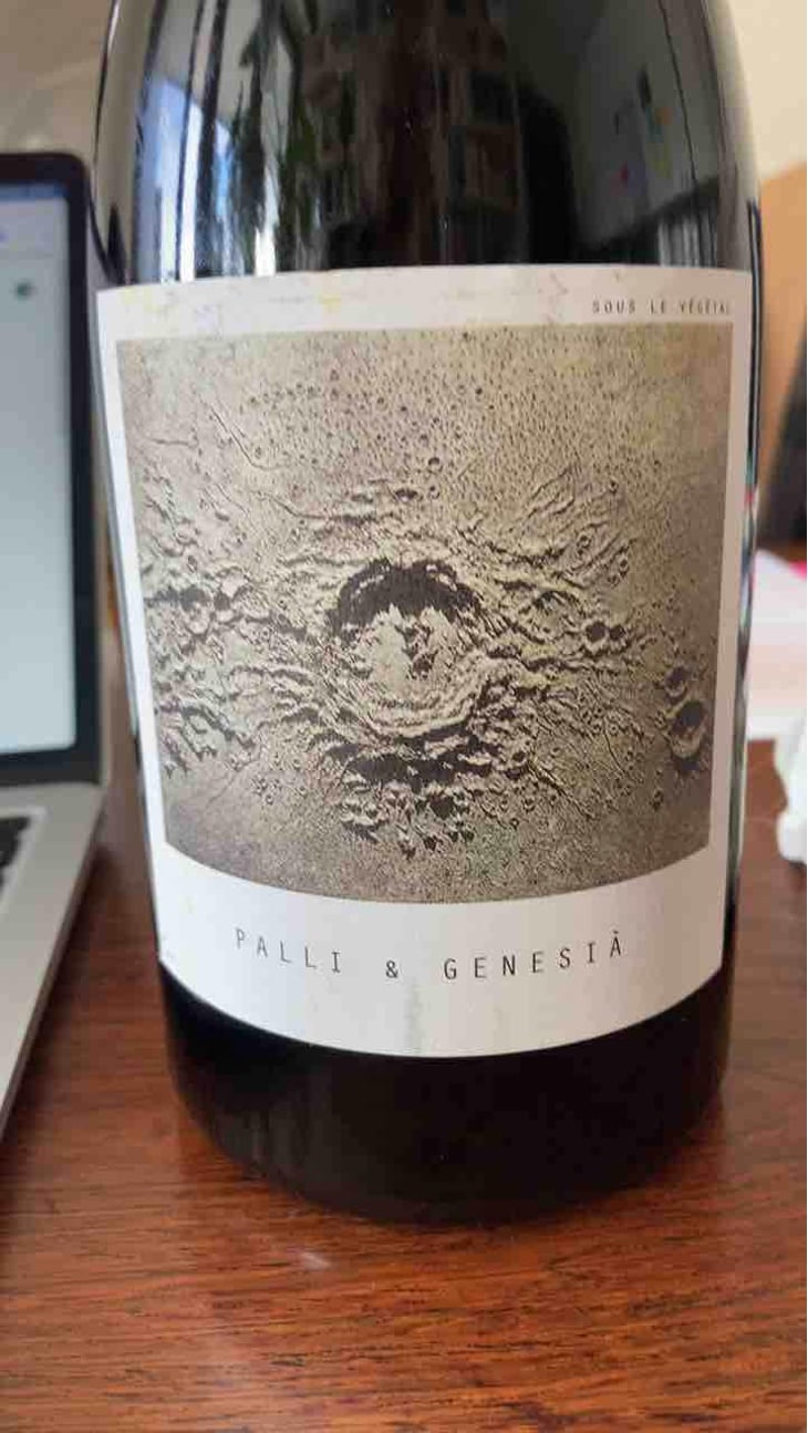 Palli & Genesià - Sous Le Vegetal - Patrick Bouju & Jason Ligas 