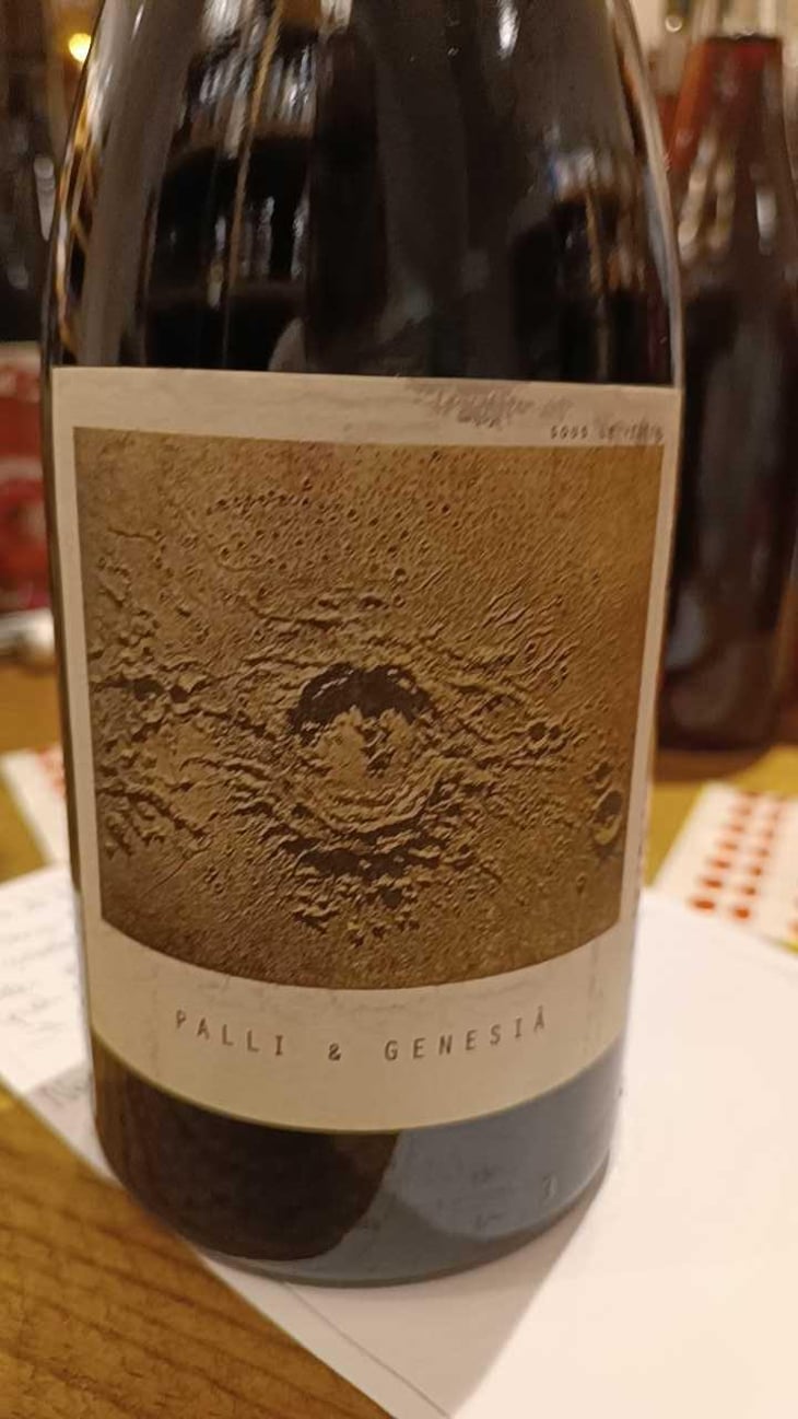 Palli & Genesià - Sous Le Vegetal - Patrick Bouju & Jason Ligas 