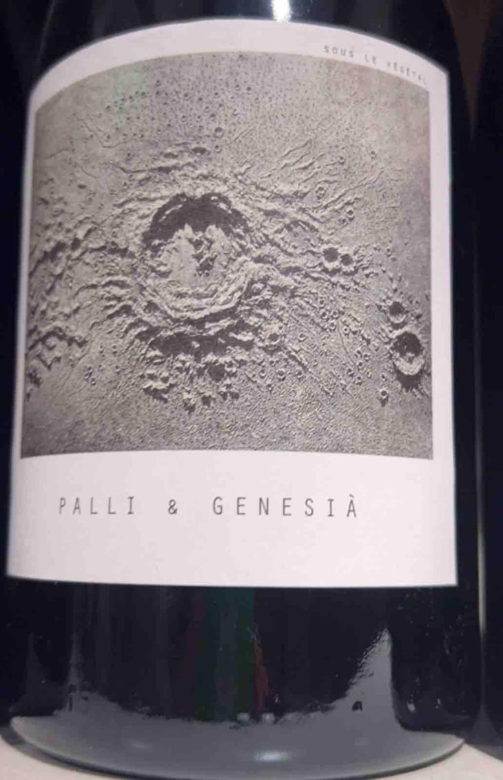 Palli & Genesià - Sous Le Vegetal - Patrick Bouju & Jason Ligas 