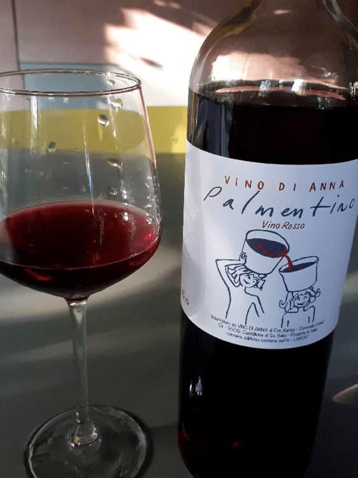Palmentino - Vino di Anna - Anna Martens & Eric Narioo 