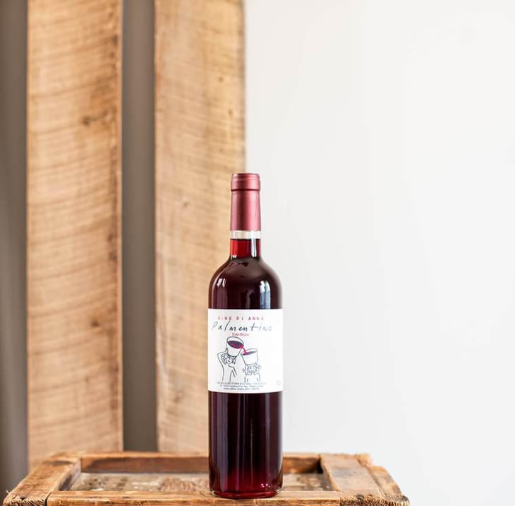 Palmentino - Vino di Anna - Anna Martens & Eric Narioo 