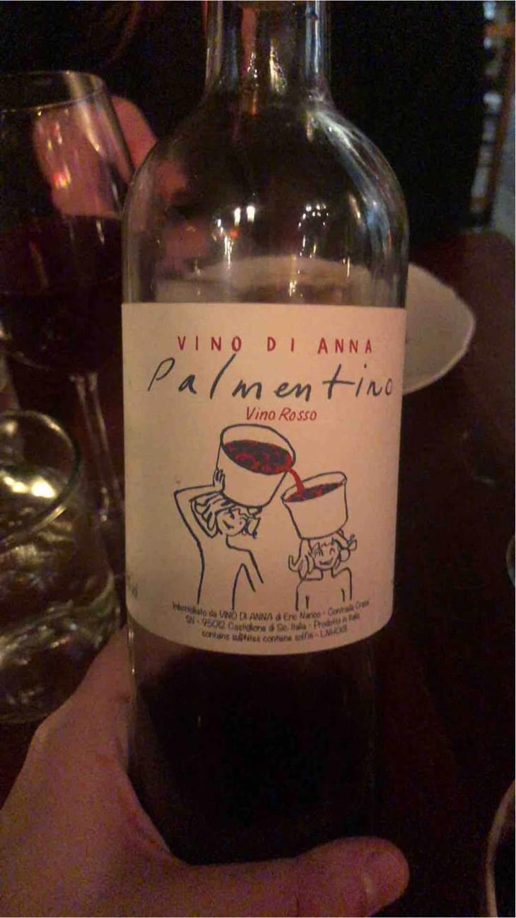 Palmentino - Vino di Anna - Anna Martens & Eric Narioo 