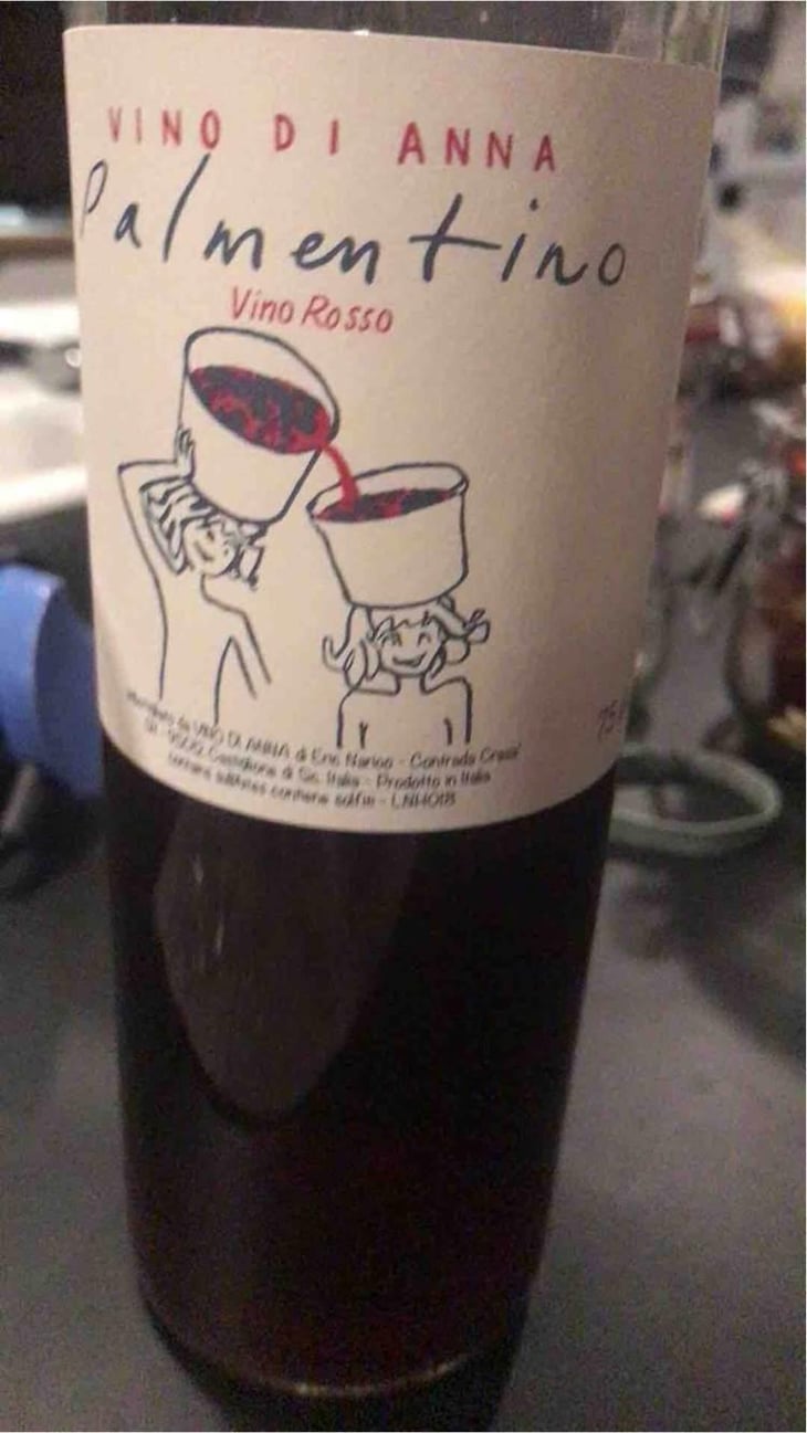 Palmentino - Vino di Anna - Anna Martens & Eric Narioo 