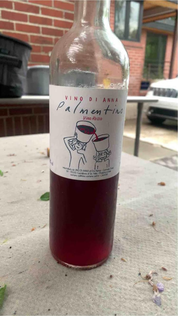 Palmentino - Vino di Anna - Anna Martens & Eric Narioo 