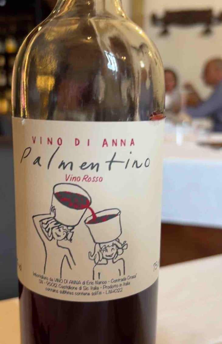 Palmentino - Vino di Anna - Anna Martens & Eric Narioo 