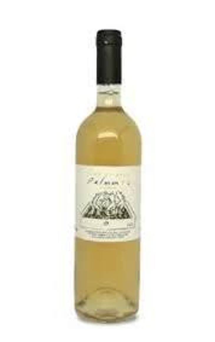 Palmento Bianco - Vino di Anna - Anna Martens & Eric Narioo 