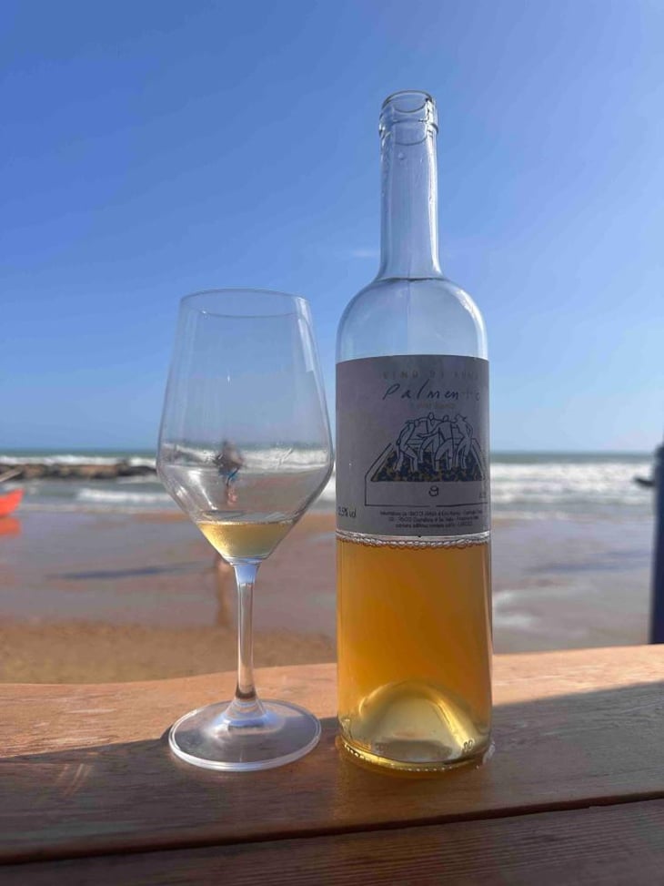 Palmento Bianco - Vino di Anna - Anna Martens & Eric Narioo 