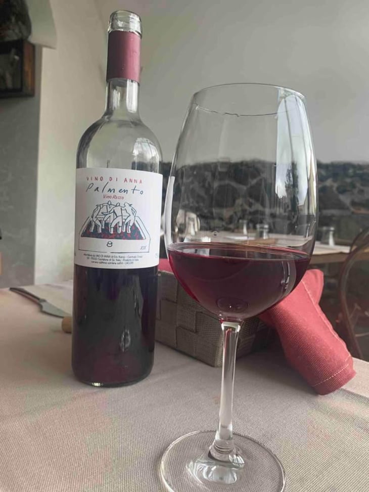 Palmento Rosso - Vino di Anna - Anna Martens & Eric Narioo 