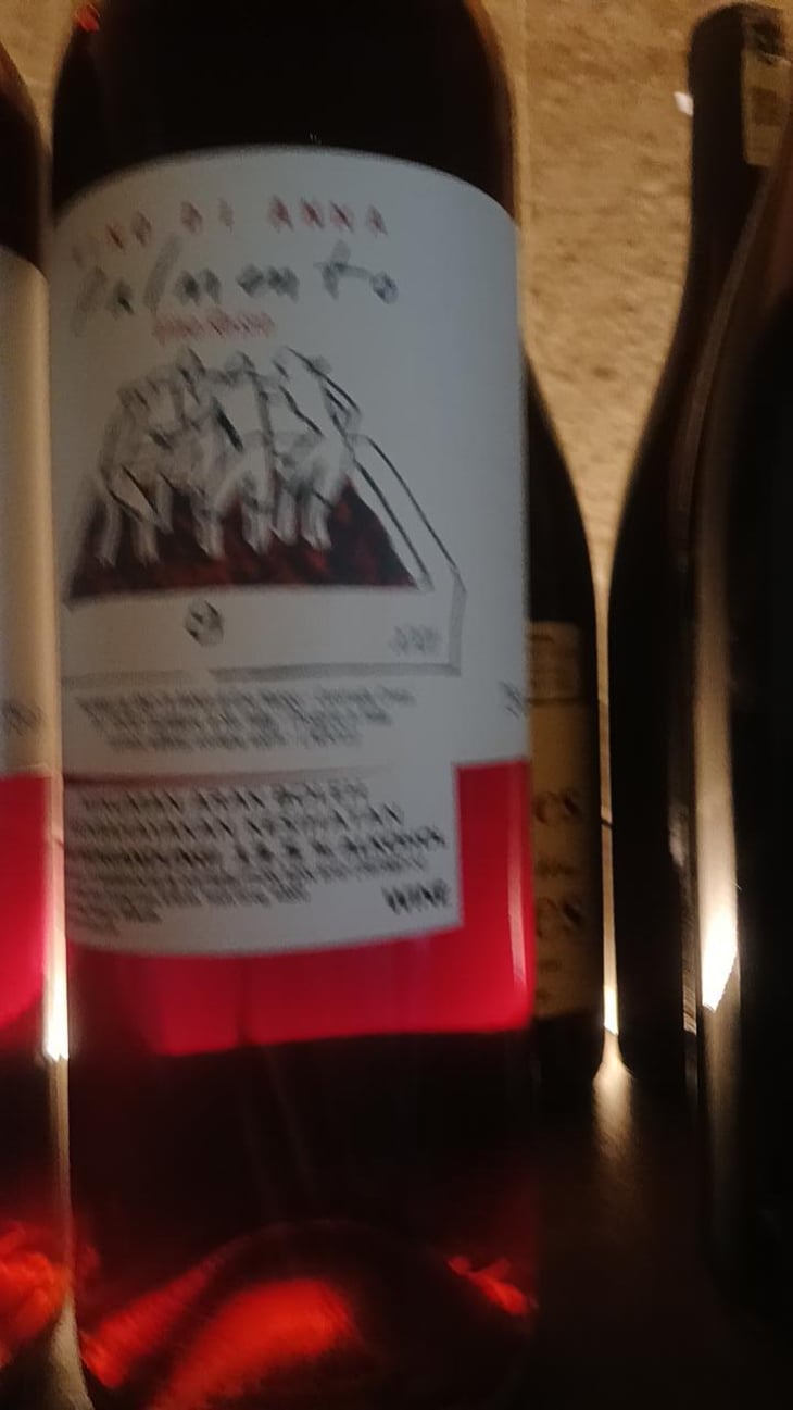 Palmento Rosso - Vino di Anna - Anna Martens & Eric Narioo 