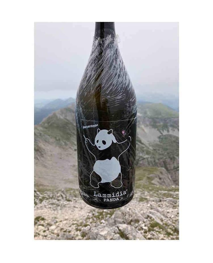 Panda - Lammidia - Marco Giuliani & Davide Gentile 