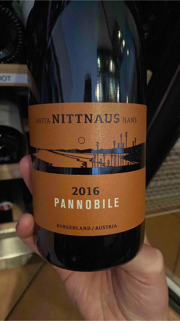 Pannobile - Hans & Anita Nittnaus - Hans & Anita Nittnaus -2016