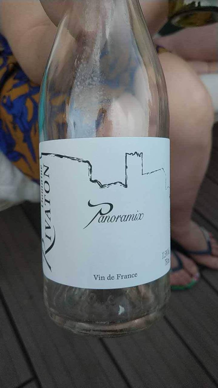 Panoramix - Domaine Rivaton - Frédéric Rivaton 