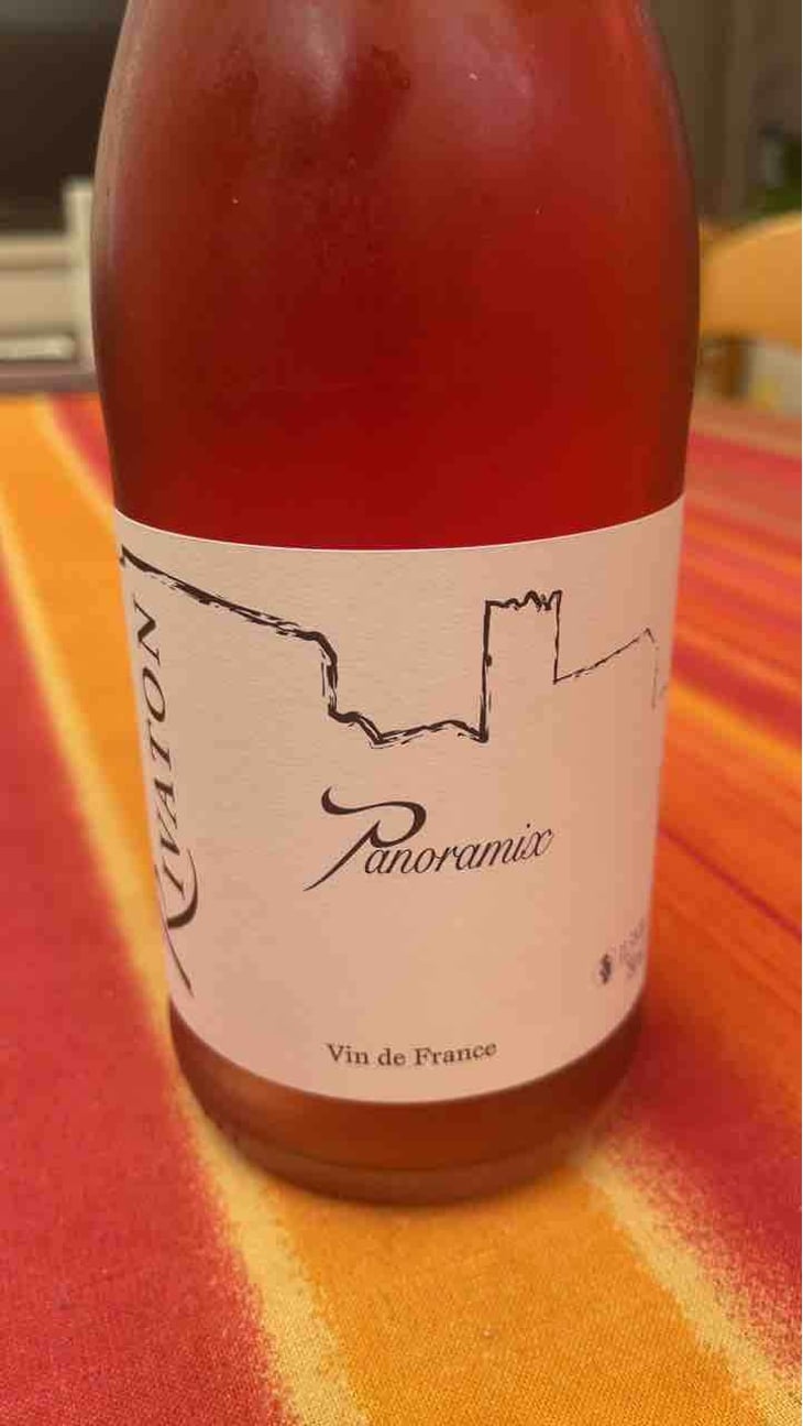 Panoramix - Domaine Rivaton - Frédéric Rivaton 