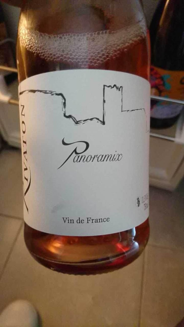 Panoramix - Domaine Rivaton - Frédéric Rivaton 