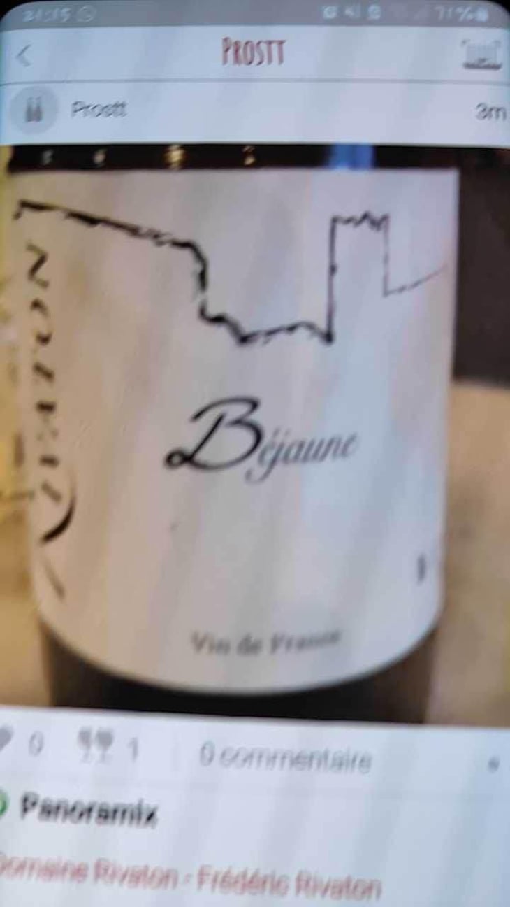 Panoramix - Domaine Rivaton - Frédéric Rivaton 