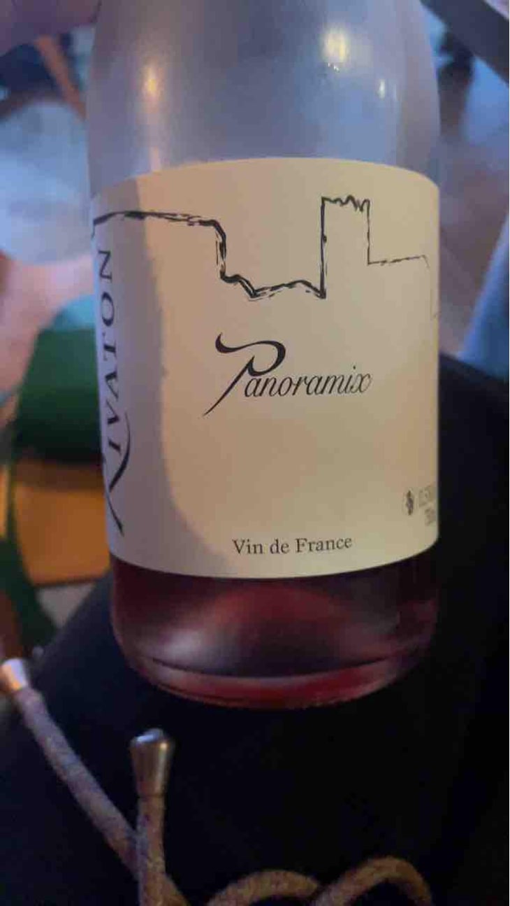 Panoramix - Domaine Rivaton - Frédéric Rivaton 