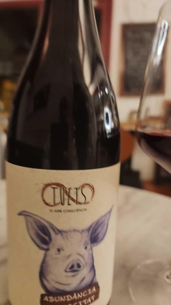 Panxu - Celler Tuets - Albert Domingo 