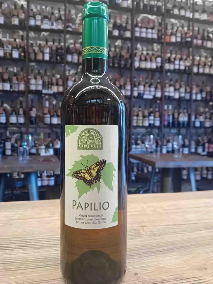 Papilio - Altea Illotto - Adriano Altea, Maurizio Altea, Adele Illotto -2021