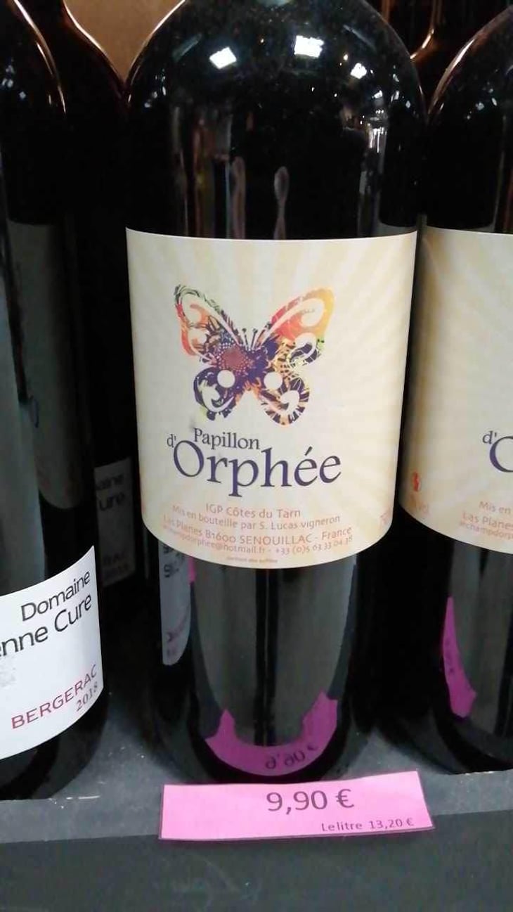 Papillon d'Orphée - Le Champ d'Orphée - Stéphane Lucas 