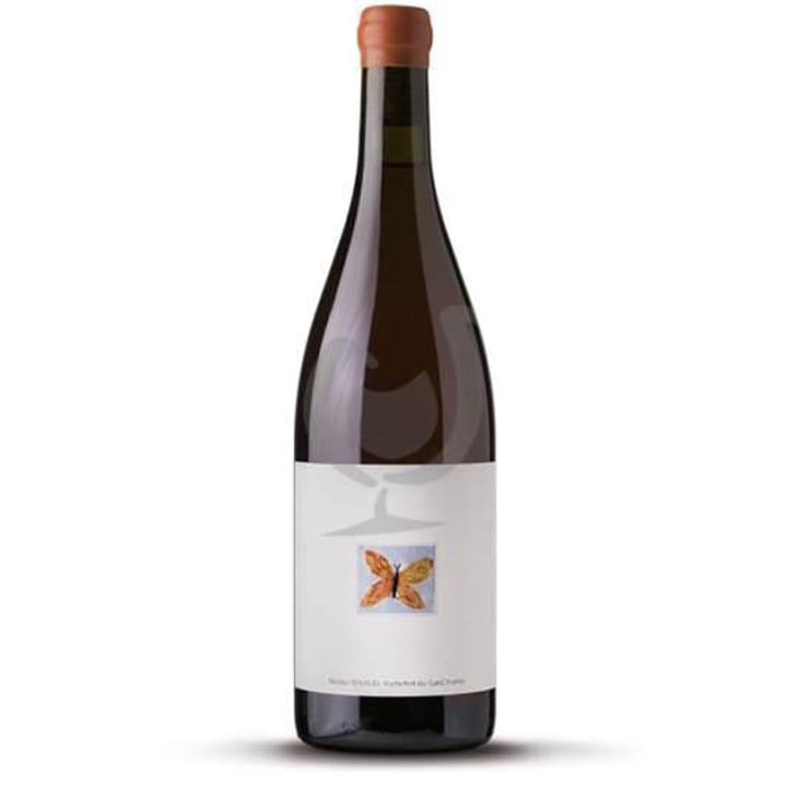 Papillon - Clos des Grillons - Nicolas Renaud 