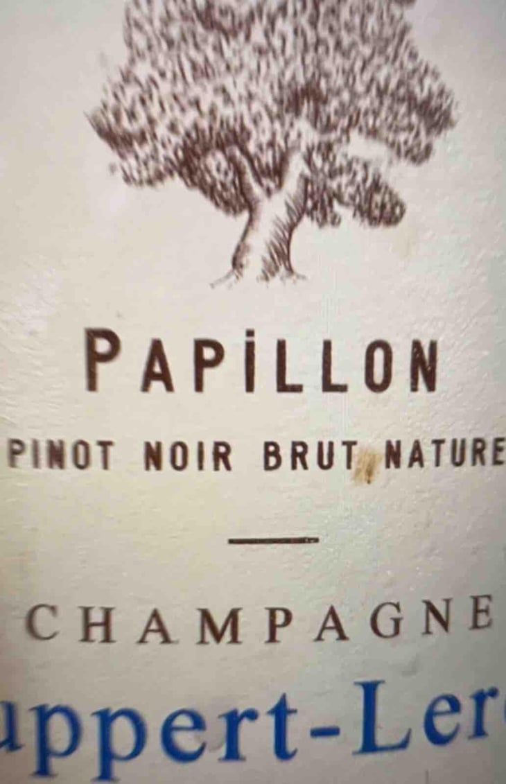 Papillon - Champagne Ruppert-Leroy - Emmanuel Ruppert & Bénédicte Leroy 