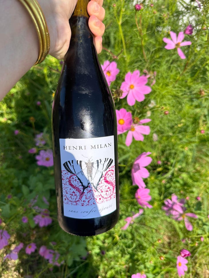 Le Papillon Rouge - Domaine Milan - Emma, Théophile & Henri Milan 