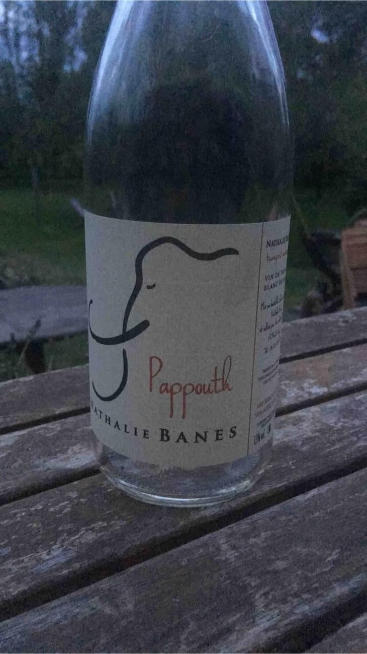 Pappouth - Nathalie Banes - Nathalie Banes 