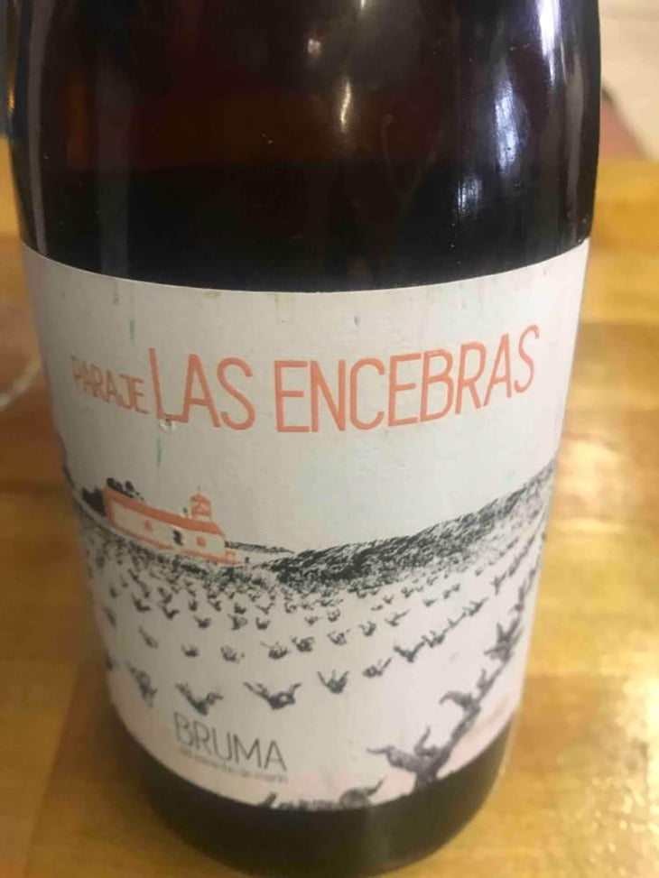 Paraje Las Encebras - Elena pacheco - Bruma 