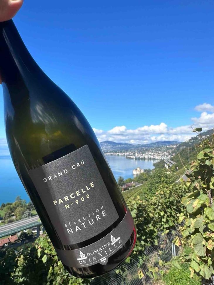 Parcelle 900 - Domaine de la Ville de Morges - Julien Pasche 