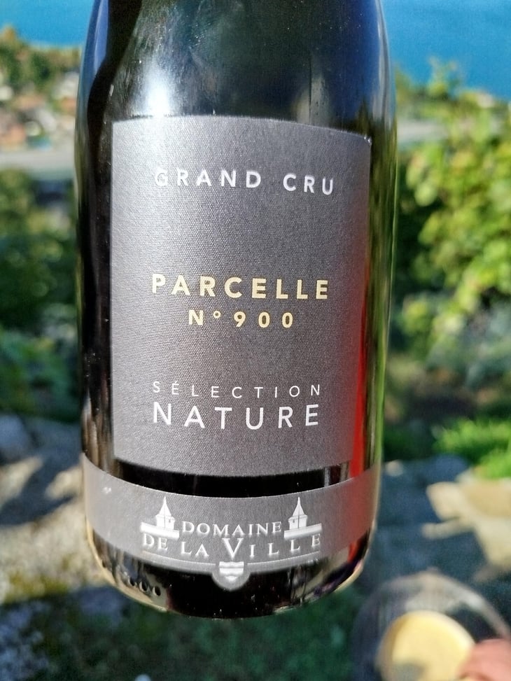 Parcelle 900 - Domaine de la Ville de Morges - Julien Pasche 