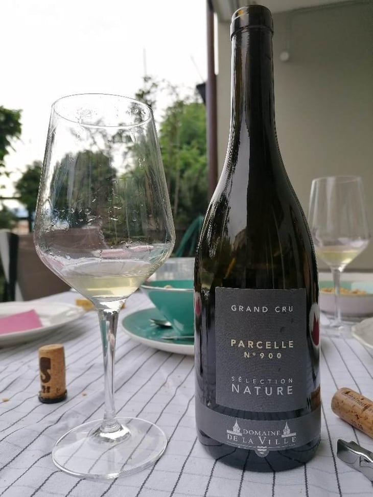 Parcelle 900 - Domaine de la Ville de Morges - Julien Pasche 