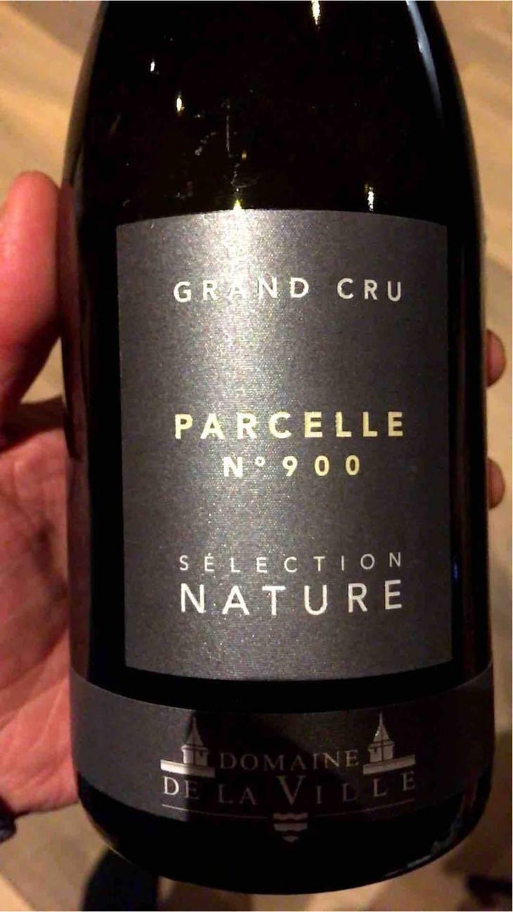 Parcelle 900 - Domaine de la Ville de Morges - Julien Pasche 
