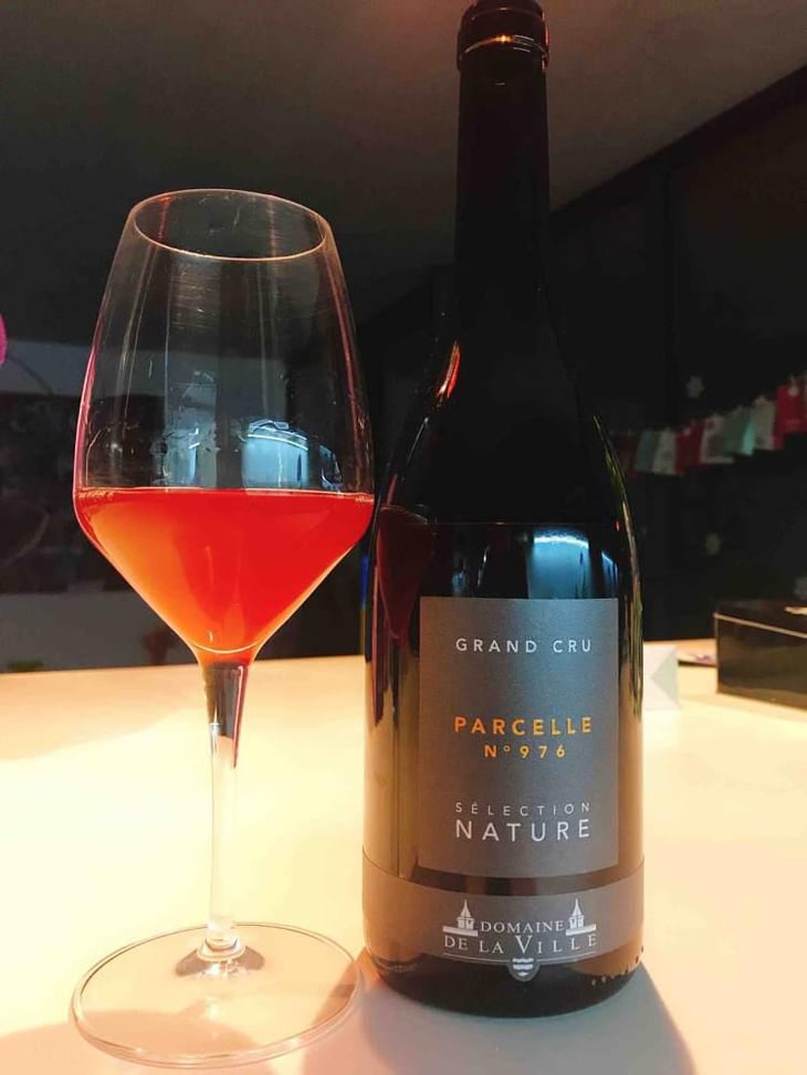 Parcelle 900 - Domaine de la Ville de Morges - Julien Pasche 