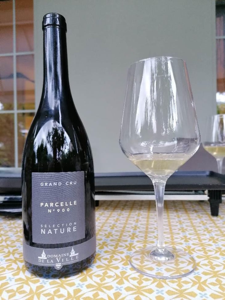 Parcelle 900 - Domaine de la Ville de Morges - Julien Pasche 