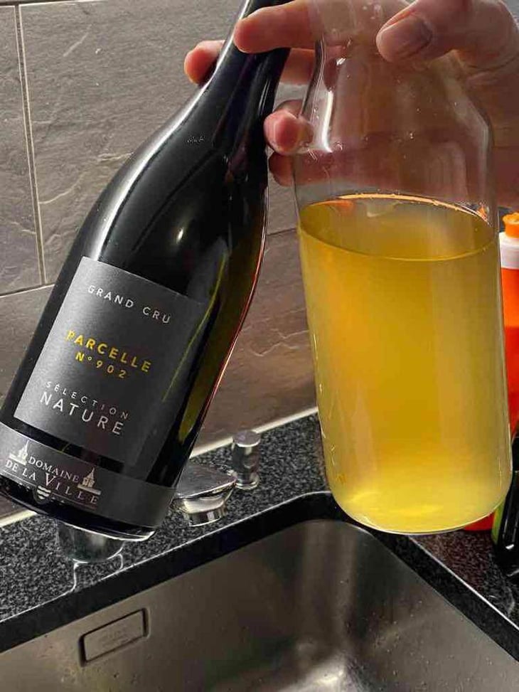Parcelle 902 - Domaine de la Ville de Morges - Julien Pasche 