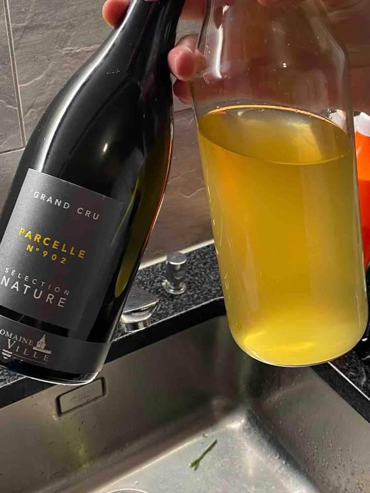 Parcelle 902 - Domaine de la Ville de Morges - Julien Pasche 