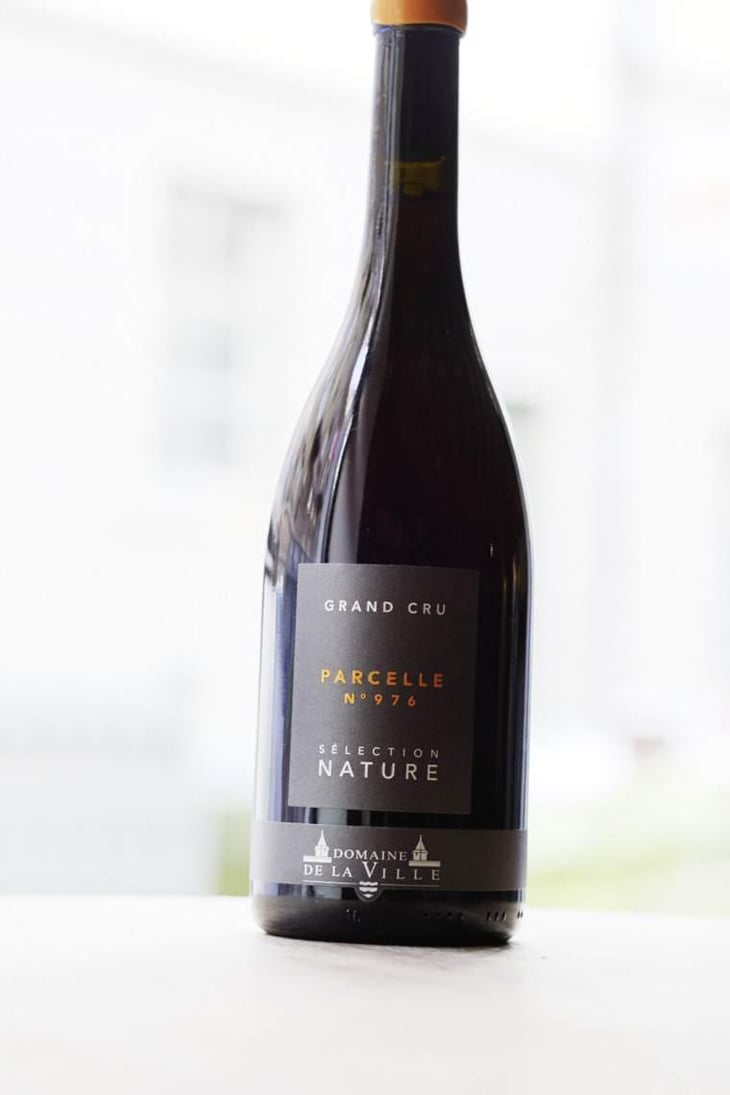 Parcelle 976 - Domaine de la Ville de Morges - Julien Pasche 