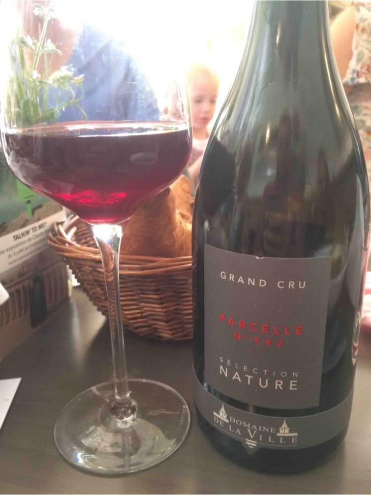 Parcelle 982 - Domaine de la Ville de Morges - Julien Pasche 