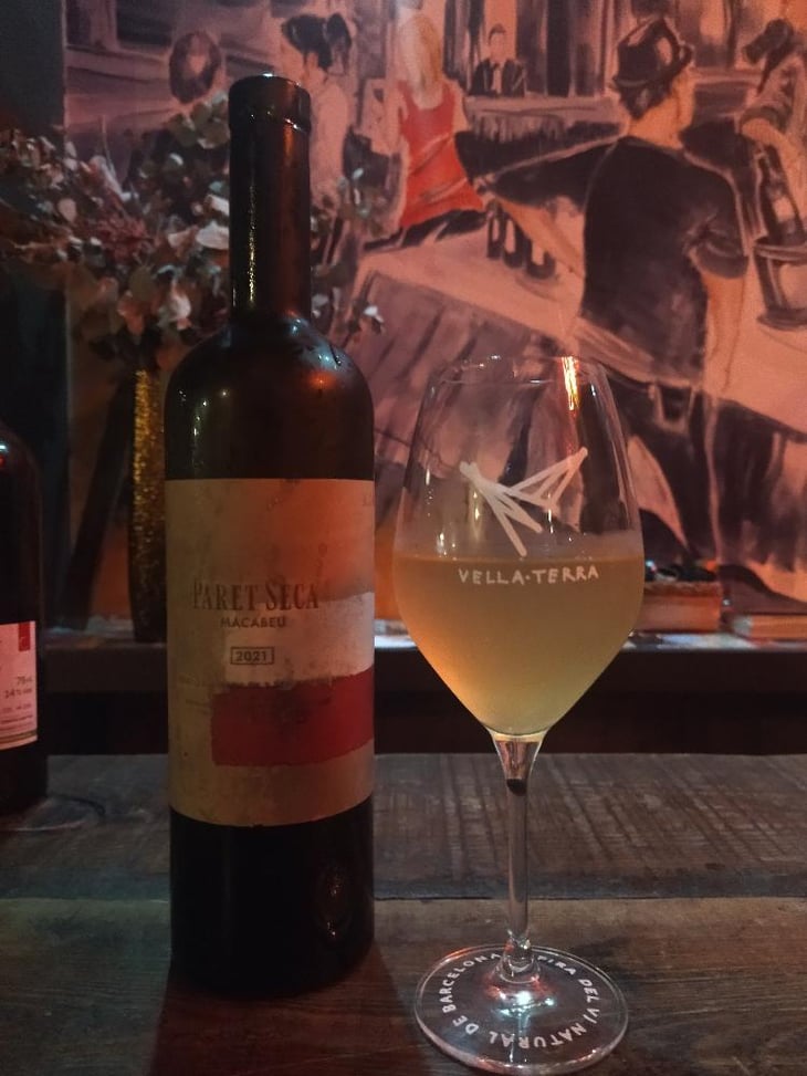 Paret Seca Macabeu - Paret Seca Vins - Ivà Gallego Santacana 