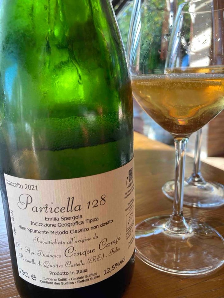 Particella 128 - Cinque Campi - Vanni Nizzoli 
