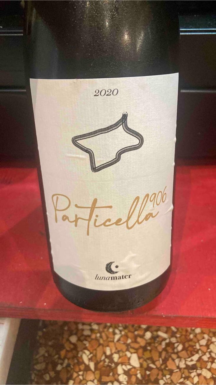 Particella 906 - Luna Mater - Massimo Ricci -2020