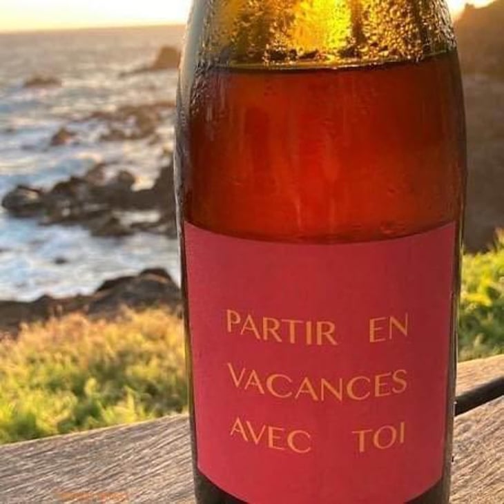 Partir En Vacances Avec Toi - Clos des Grillons - Nicolas Renaud 