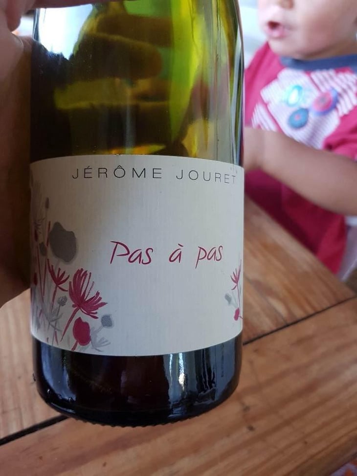 Pas à Pas - Jérome Jouret - Jérôme Jouret -2023
