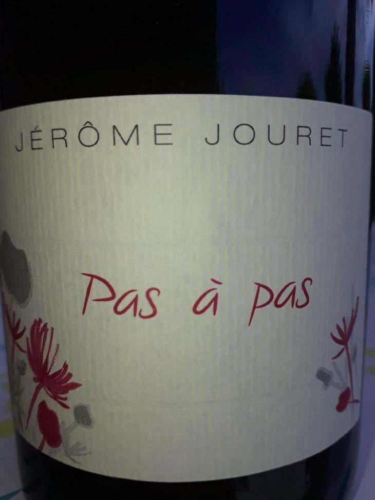 Pas à Pas - Jérome Jouret - Jérôme Jouret -2023