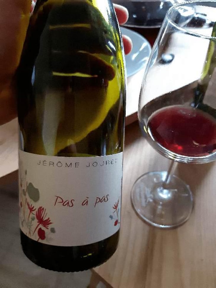 Pas à Pas - Jérome Jouret - Jérôme Jouret -2023