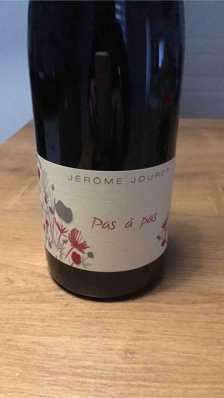 Pas à Pas - Jérome Jouret - Jérôme Jouret -2023