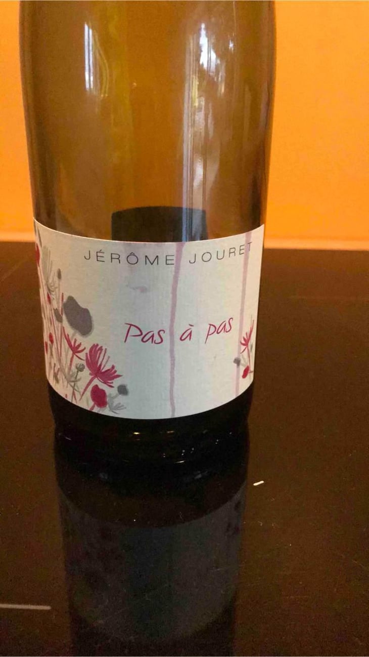 Pas à Pas - Jérome Jouret - Jérôme Jouret -2023