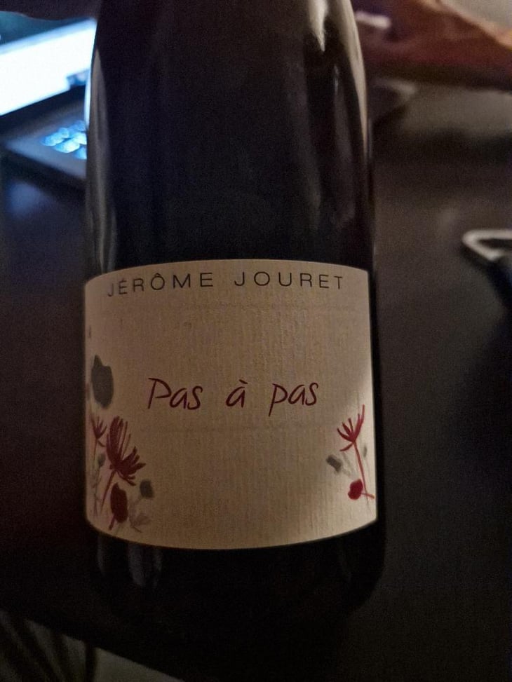 Pas à Pas - Jérome Jouret - Jérôme Jouret -2023