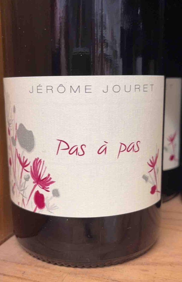 Pas à Pas - Jérome Jouret - Jérôme Jouret -2023