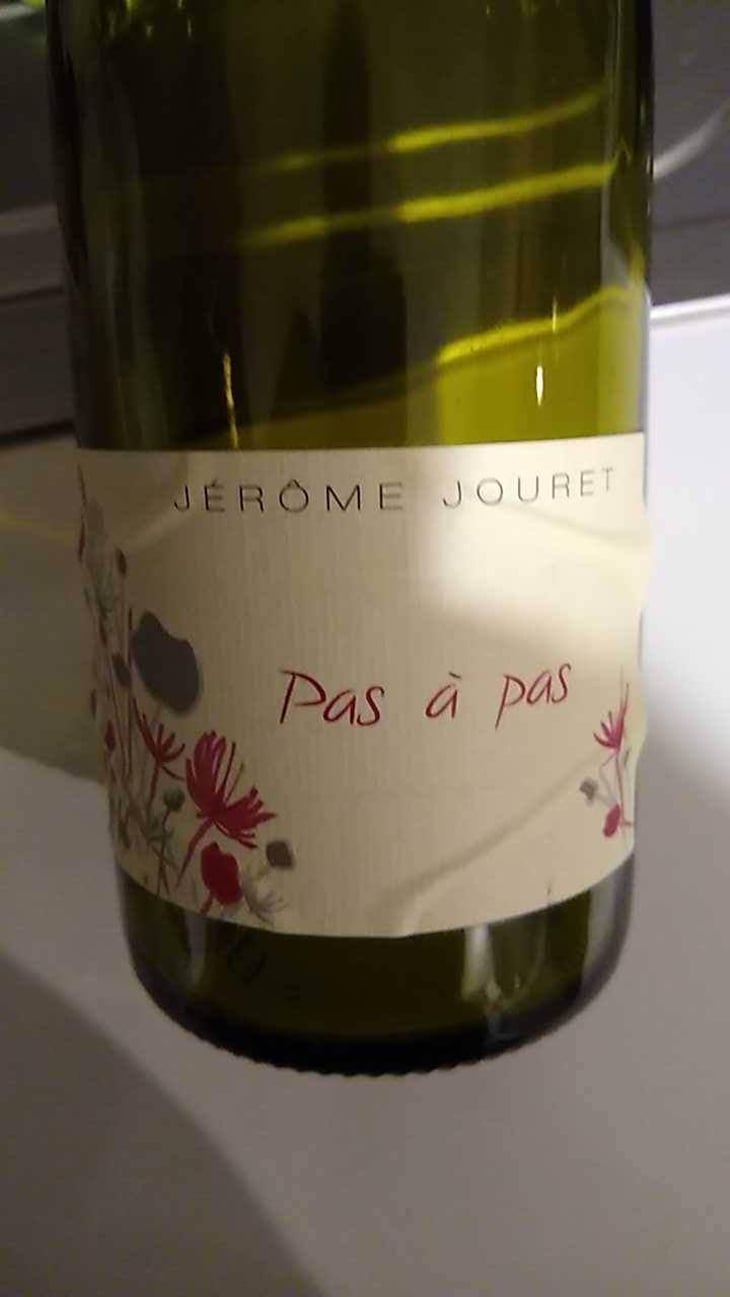 Pas à Pas - Jérome Jouret - Jérôme Jouret -2023